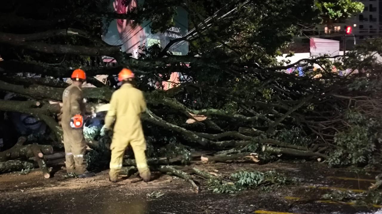Foto 31 de 67 — TEMPORAL EM FOTOS: veja imagens de destruição em Araraquara
